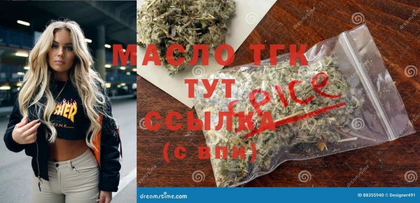 стаф Инта