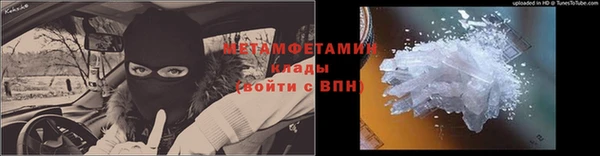 стаф Инта
