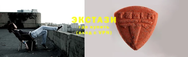 стаф Инта