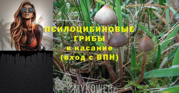 круглые Иннополис