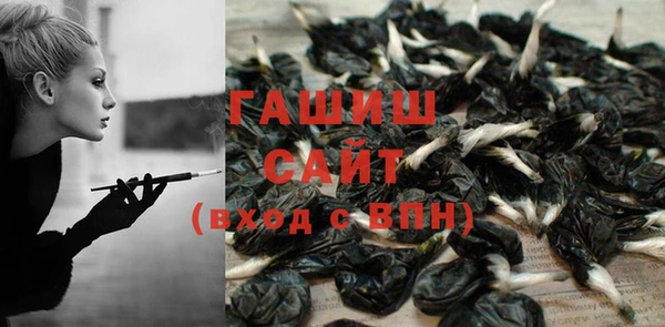 стаф Инта