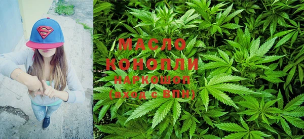 стаф Инта