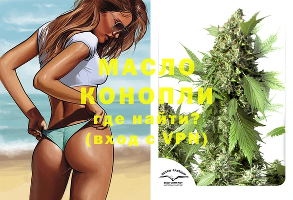 стаф Инта