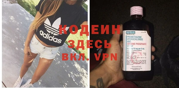 круглые Иннополис