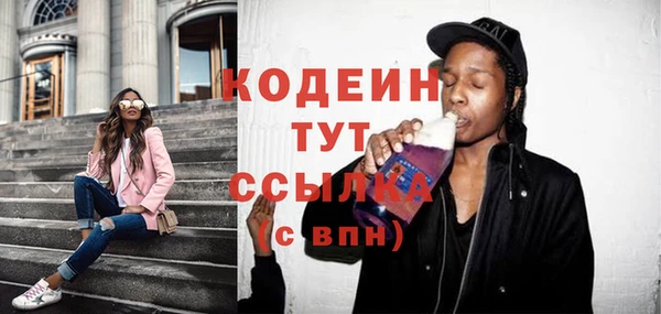 стаф Инта