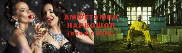 стаф Инта