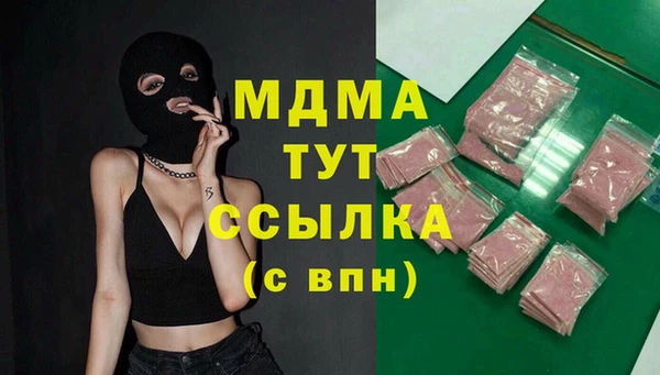 стаф Инта
