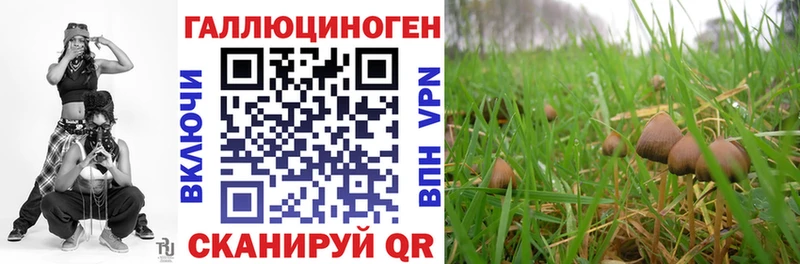 Купить где  Талдом  Галлюциногенные грибы MAGIC MUSHROOMS 